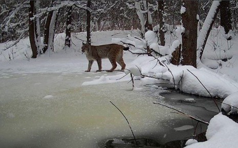 ����������� � ���������� �������� ����� �������� ���� �� �������� �������