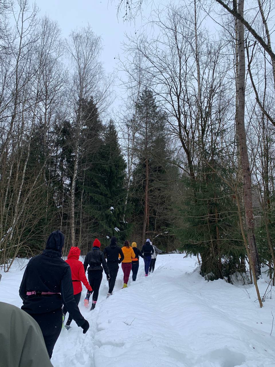 Наш корреспондент преодолела снежный трейл в Никола-Ленивце Наш корреспондент преодолела снежный трейл в Никола-Ленивце