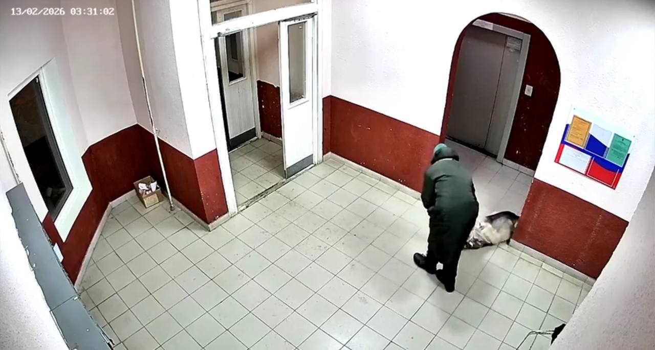 В Калуге женщина выволокла мёртвую собаку из подъезда и бросила в кусты