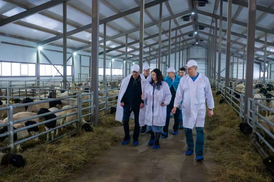 � ��������� ������� ������� ������ � ������ ����� �������� ����