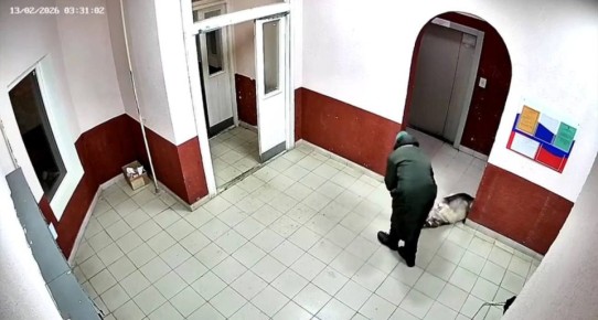 Мертвую собаку выволокла на улицу и выбросила в кусты ее хозяйка