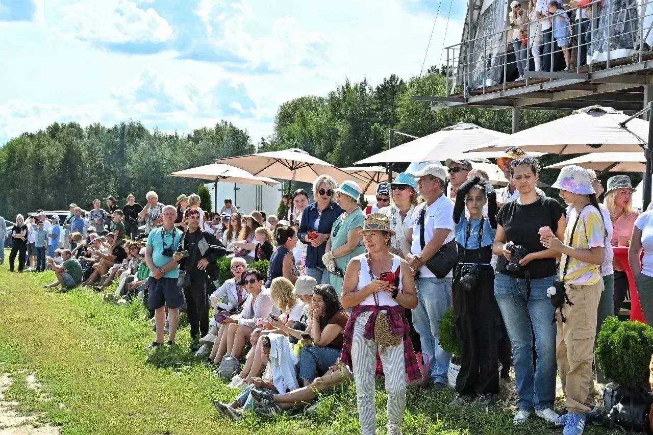 Русская тройка официально признана национальным видом спорта Русская тройка официально признана национальным видом спорта