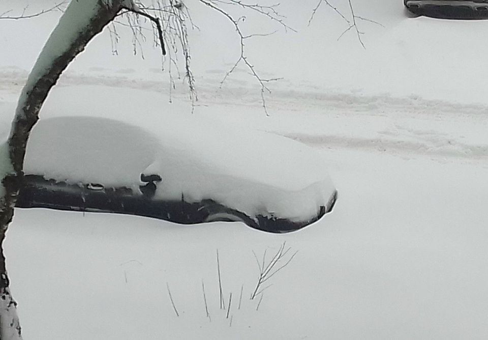 ������ �������� � ������ �������� 56 �����������