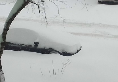 Высота сугробов в Калуге достигла 56 сантиметров