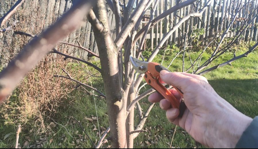 ��� ��������� ���� � �����: ������� �������� ������