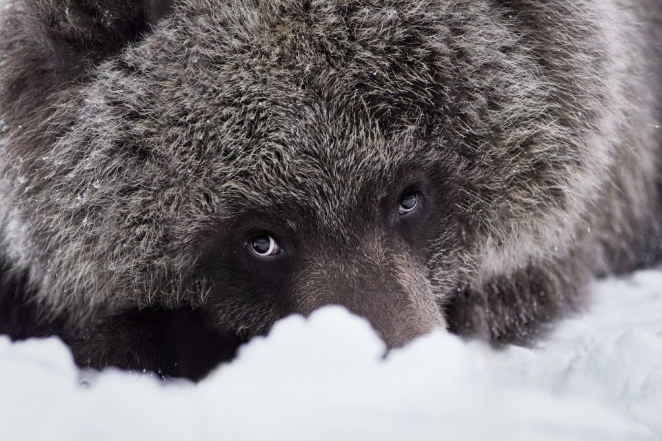 ���������� ������ ������� ����� ������� ��� ���������� ���������� �������