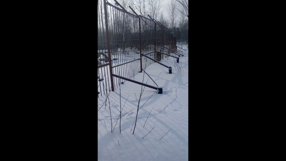 � ������ ������ � ������ ��� ���������� ���������� �������