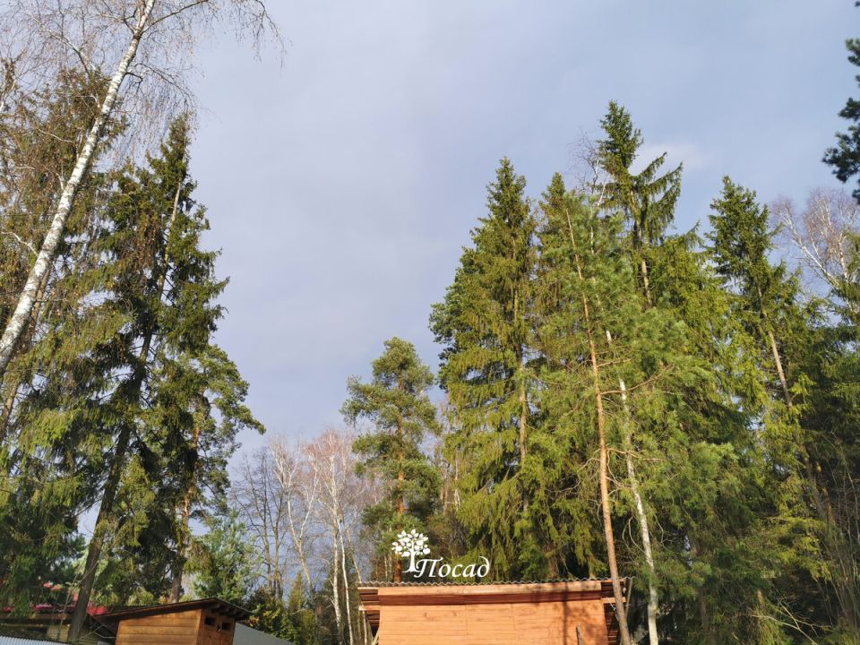 ������� �����: ���� ����������� ��� � ����