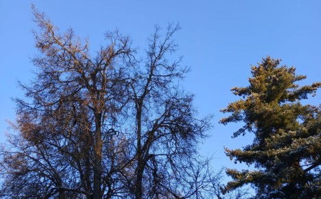 В Калуге потеплеет на выходных