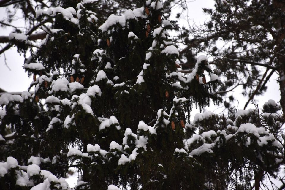 ���������� ��������� ������ � ��������� ������� � �����������