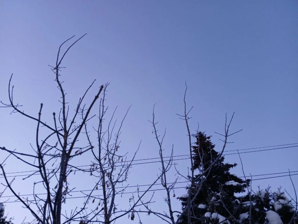 � ��������� ������� ����� ����� ������������