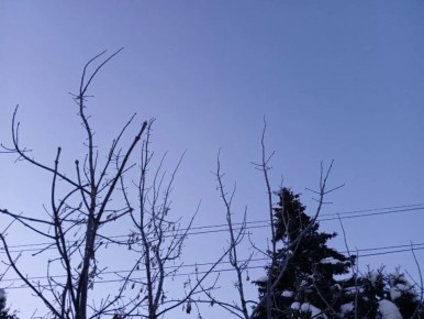 ���� ��� �������� ��������� ����� �� ��������� �������