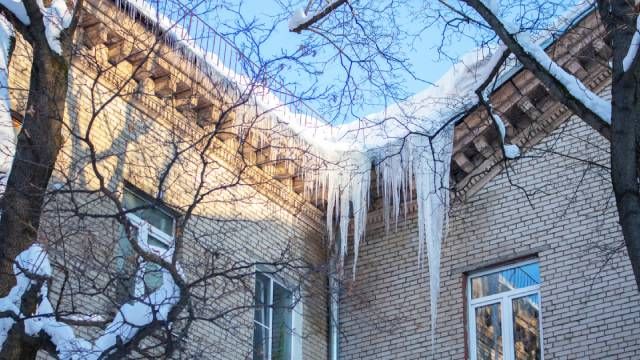 ����� ������ �� ���������� ����: ����������� �������� ������� �������� ��������