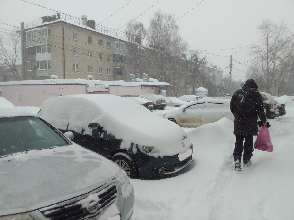 ����� � ���� ������ ��������� �������� ����