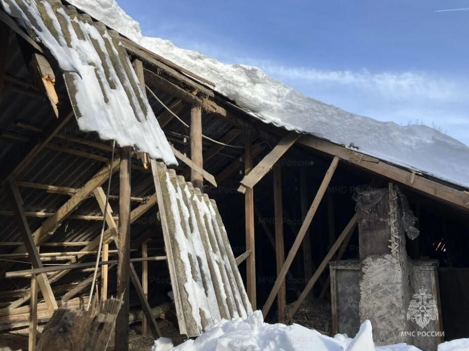 ��� ���� ��������� ����� ��������� � ����������