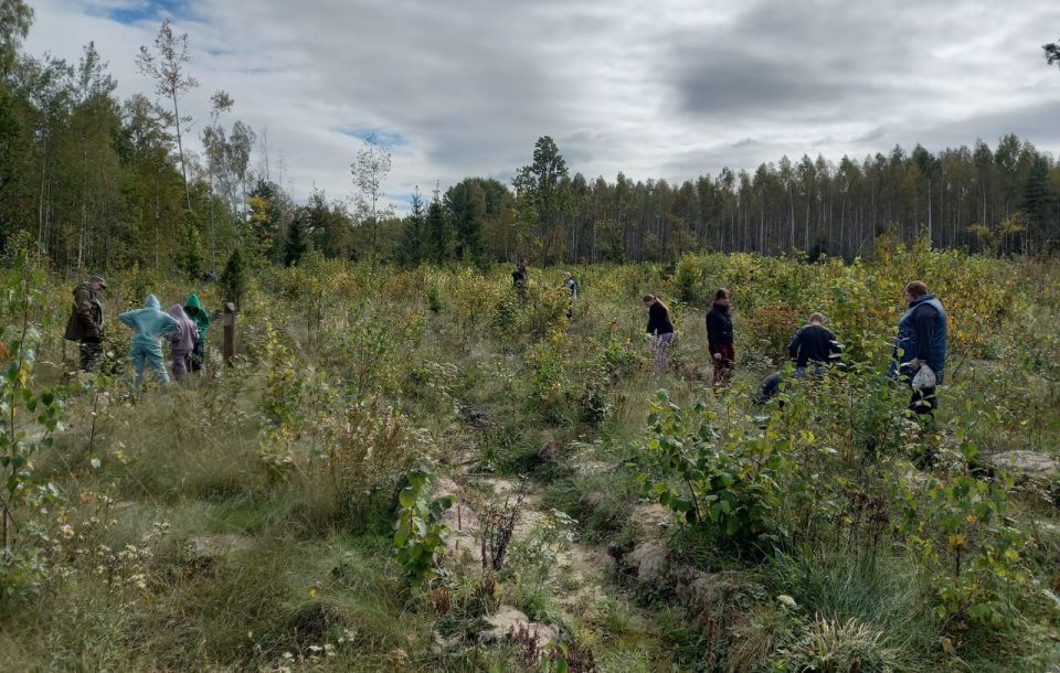 �� ������������ ����� ��������� ������� ������� ����� 14 ��������� ������