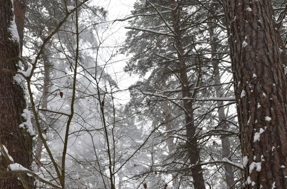 ������ �������� ������� ������ � ��������� ������� �������� � �������� ����������