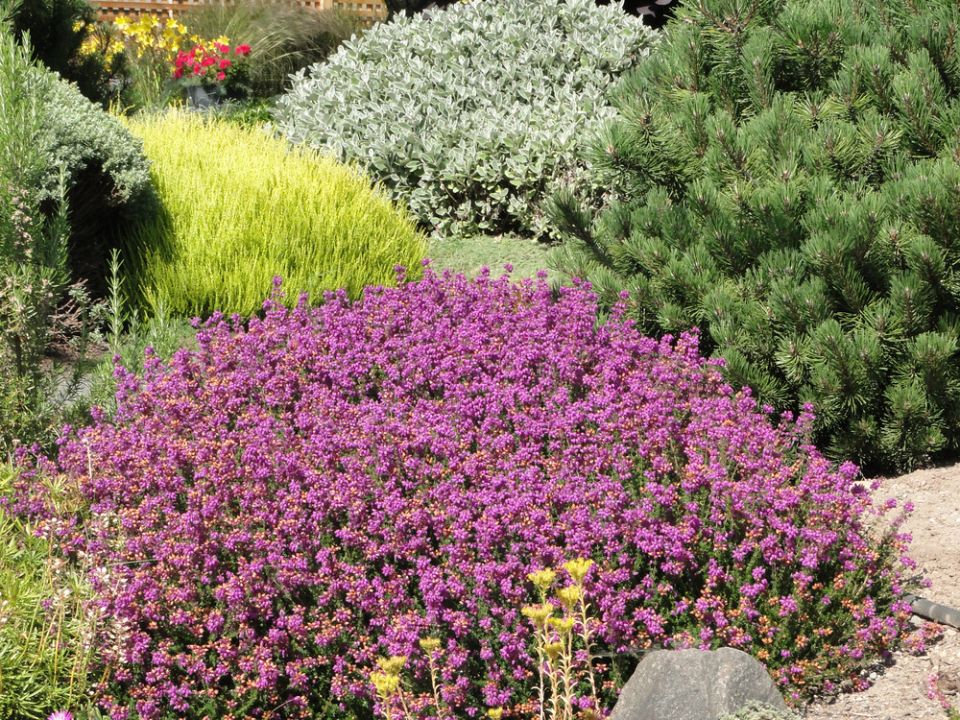 ��� ������� ������������ ���������� ���: ������ �� ��������� ��������