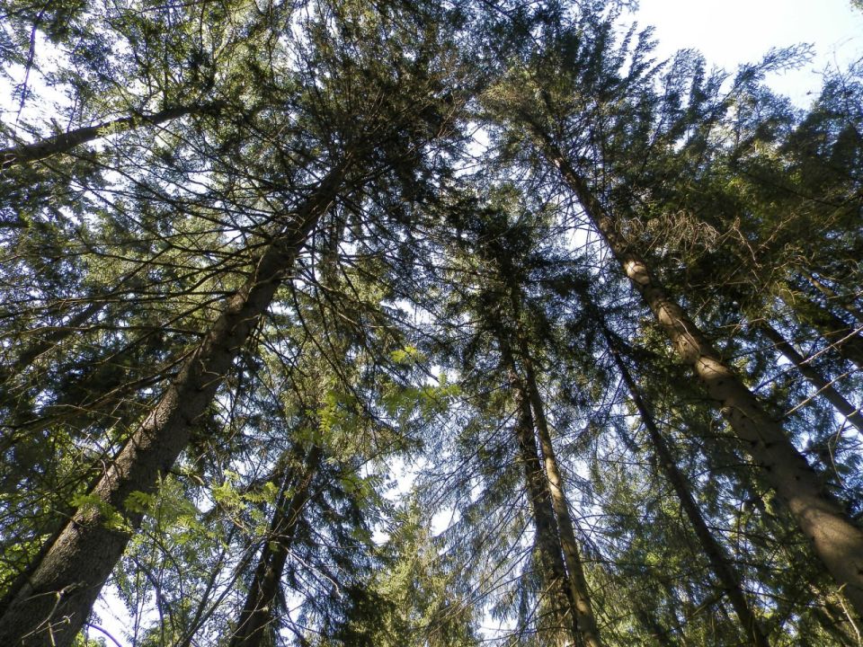 �� ������������ �������� ��������� ����� �������� 14 ���������