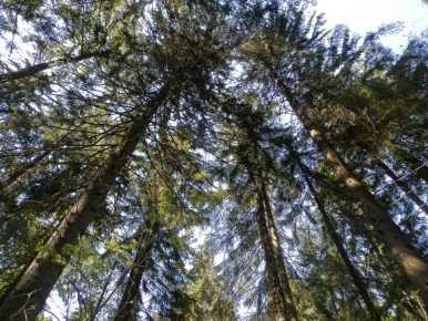 �� ������������ �������� ��������� ����� �������� 14 ���������