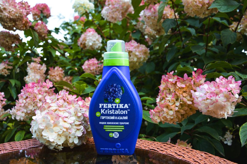 ��� ��������� ��������� �� ����������� � ������ ������