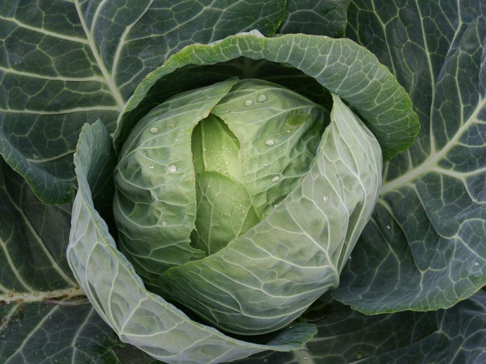 ������� �� ������������? ����������� ������ � ���� ��� �������� �����