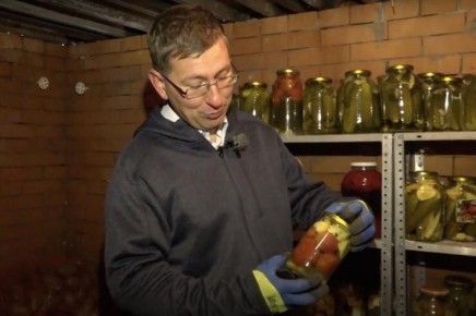 Как сохранить собранные овощи до весны: практические советы садоводов