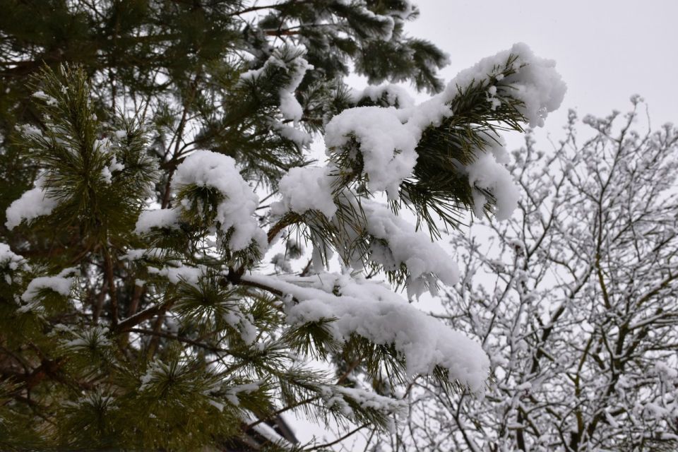 � ��������� ������� ������������ ���� � ������ � �����