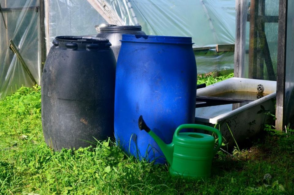 ��� ������������� �������� ���� � ����: �������� ������