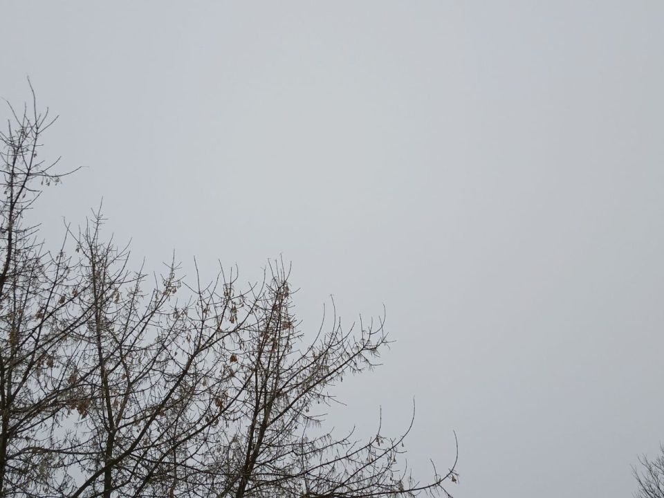 ����������� ����� ����� � ��������� �������