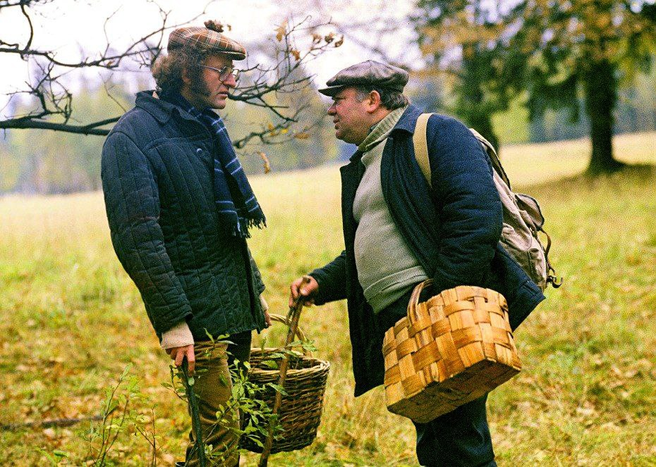 Тихая охота: как сбор грибов стал частью русской культуры