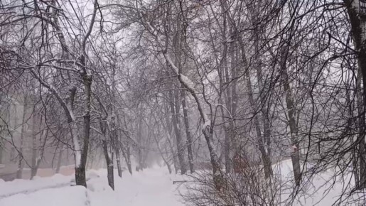 Пасмурную погоду прогнозируют в Калужской области
