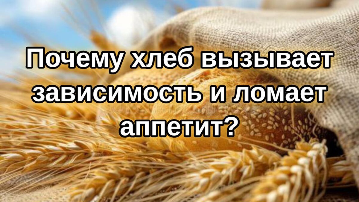 Почему современный хлеб заставляет нас чувствовать зависимость и постоянный голод?