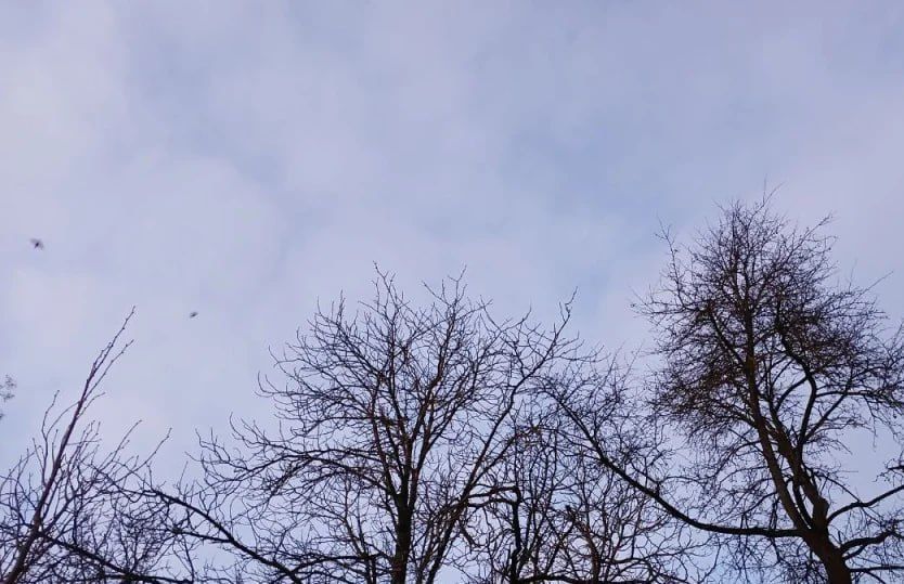 ��� ��������� �������� �� ���� ���������� 11 �������������