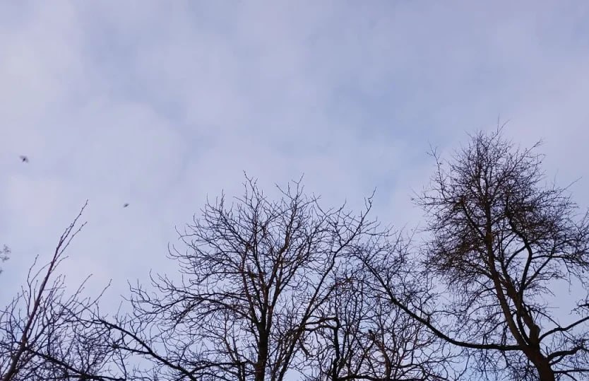 Над Калужской областью за день уничтожили 11 беспилотников