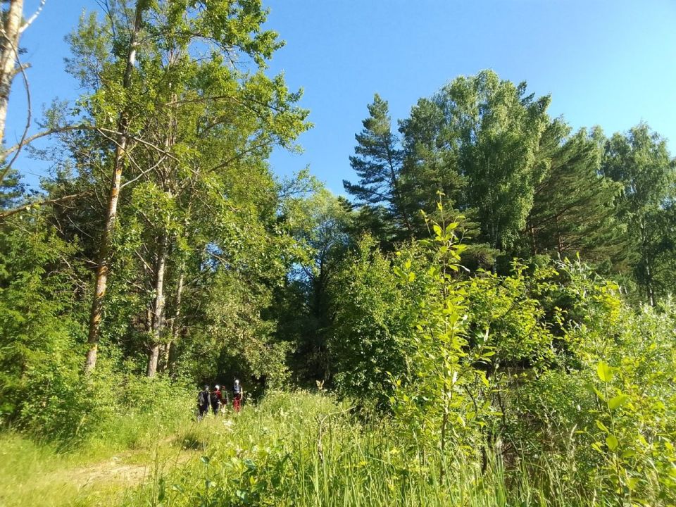 ��������������� ����������� ��������� ������� ����� ������ � ���������� �� �����