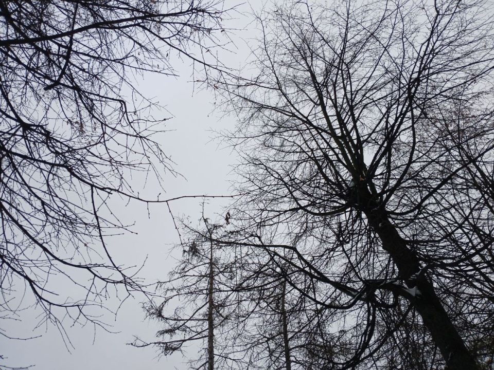 ��� ������������ ����� � ��������� �������