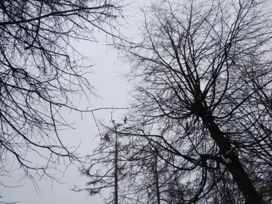 Два беспилотника сбили в Калужской области