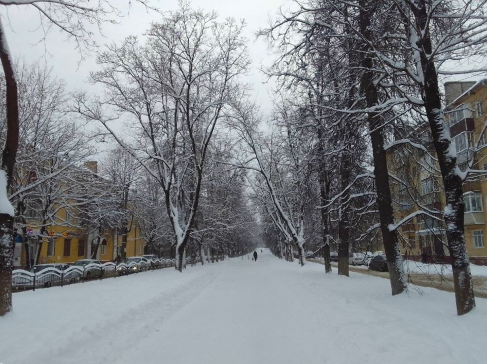 �� ���� ������ ������ ������ ��������� �������