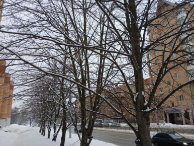 �������� ������ ������������ � ��������� �������