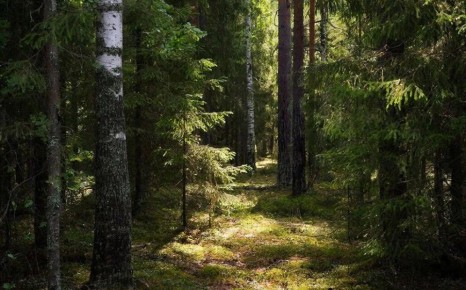 � ��������� ������� ����� ��������� ������ �� ������ ����� ��������