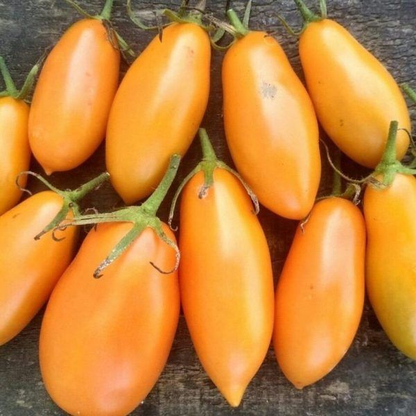 ����� �����: ��������� ��������� ���� ��� ��������