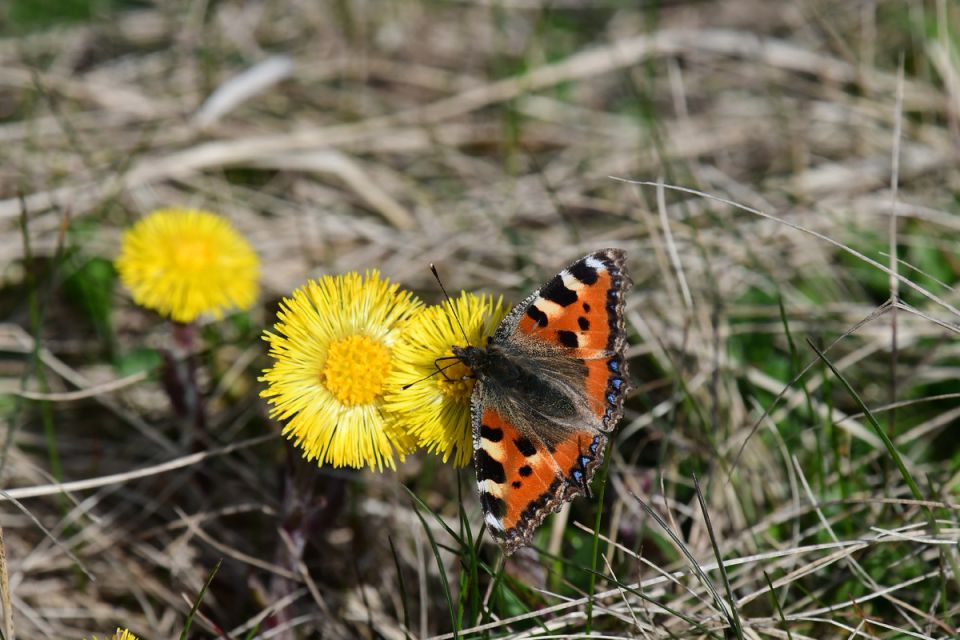 ��� ����-�-������ � ������� ������������� � ��������� � ������