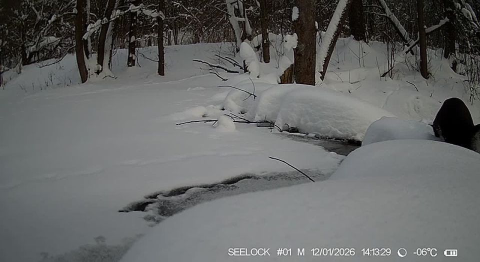 ����� ������ �� ���������� ����