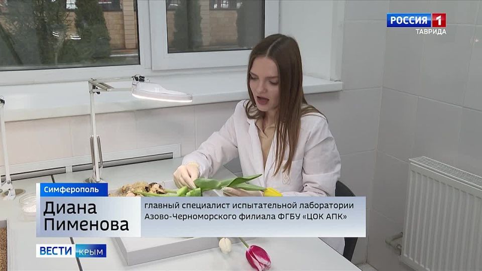 � ����� ������� �������� �������� ������ � ���������� 8 �����