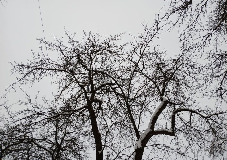 17 ������������� ����� � ��������� �������