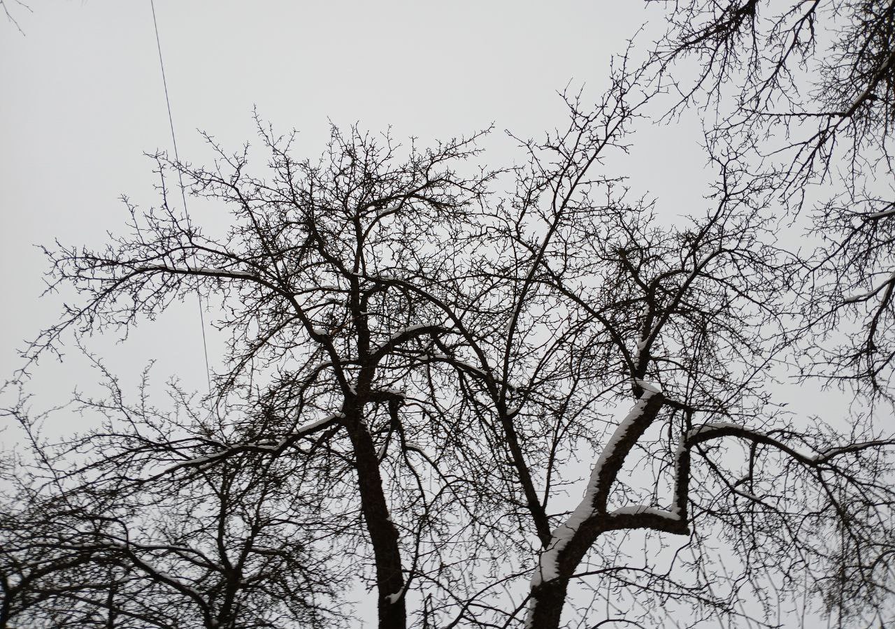 17 беспилотников сбили в Калужской области