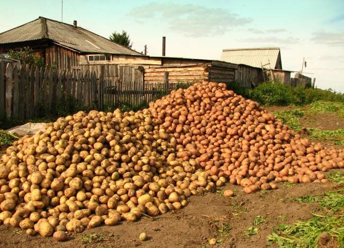 ������� ��������� ����������� ���������: ��� �������� ������ ������