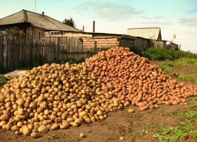 ������� ��������� ����������� ���������: ��� �������� ������ ������