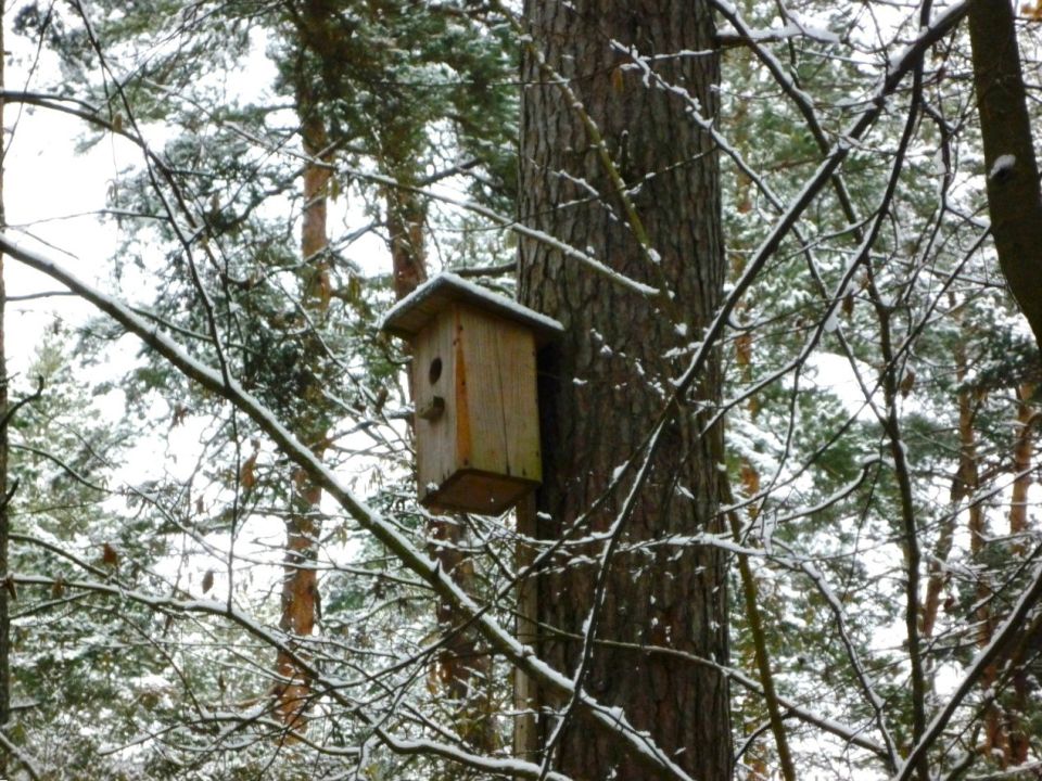 � ��������� ������� ��������� ������� ��������� ������� ��� �������